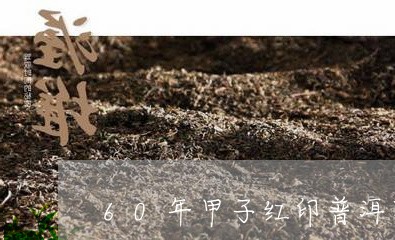 60年甲子红印普洱茶/2023062115159