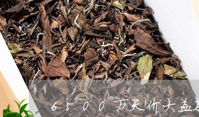 6500万天价大益茶/2023061047274