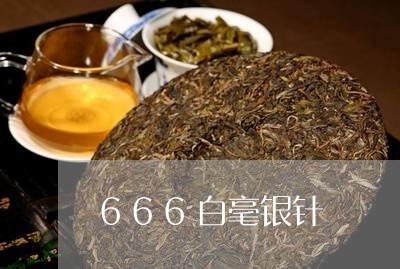 666白毫银针/2023112404927