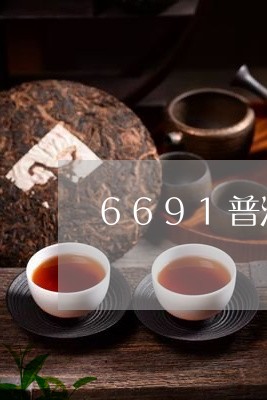 6691普洱茶/2023081824031