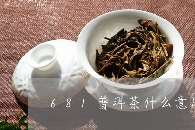 681普洱茶什么意思/2023073185168