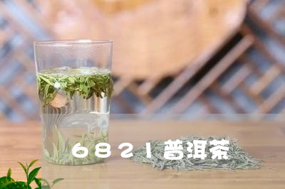 6821普洱茶/2023112626069