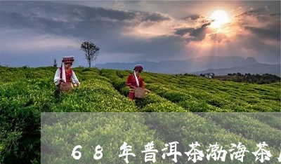 68年普洱茶渤海茶厂/2023080235169