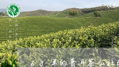 68年的普洱茶公社砖/2023062237492