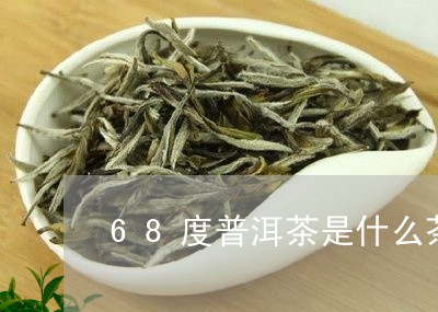 68度普洱茶是什么茶/2023080319381