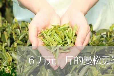 6万元一斤的曼松贡茶/2023060759594