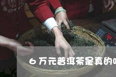 6万元普洱茶是真的吗/2023061487372