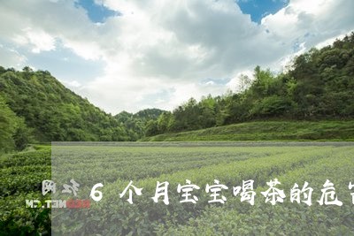 6个月宝宝喝茶的危害/2023060817957