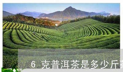 6克普洱茶是多少斤茶/2023120631402