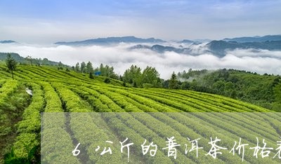 6公斤的普洱茶价格表/2023092649391