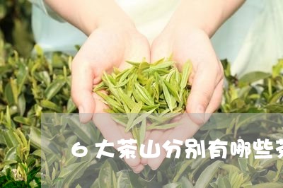 6大茶山分别有哪些茶/2023071597169