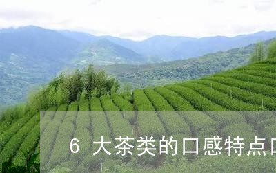 6大茶类的口感特点口感清香的茶叶/2023060409459