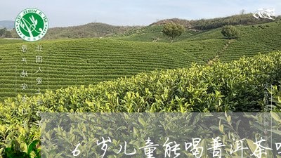 6岁儿童能喝普洱茶吗/2023093093159