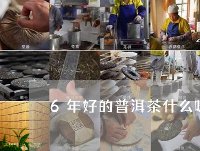 6年好的普洱茶什么味/2023092841725