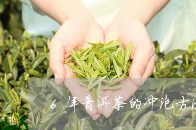 6年普洱茶的冲泡方法/2023062214289