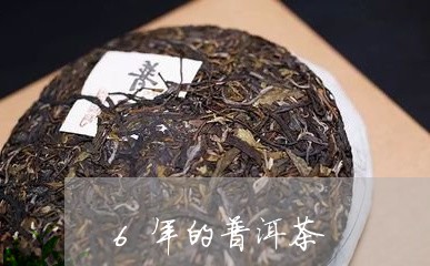 6年的普洱茶/2023042957351