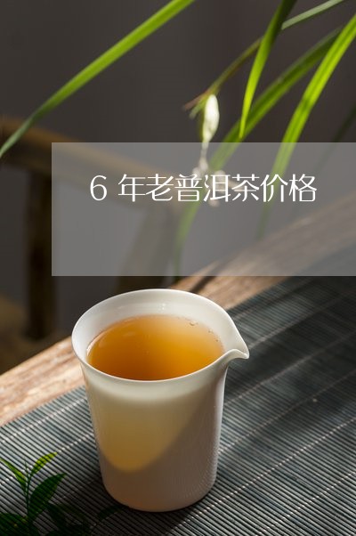 6年老普洱茶价格/2023081647481