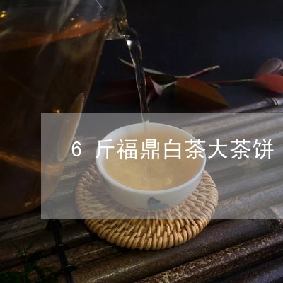 6斤福鼎白茶大茶饼/2023062805159