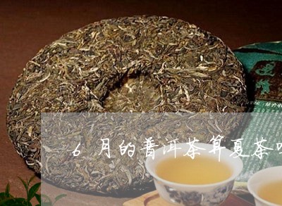 6月的普洱茶算夏茶吗/2023062289695