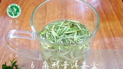 6角形普洱茶盒/2023120329715