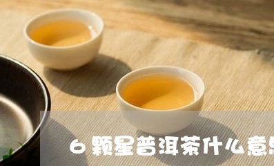 6颗星普洱茶什么意思/2023092731938