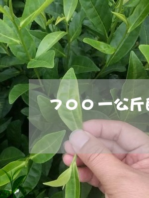 700一公斤的普洱茶/2023062272804