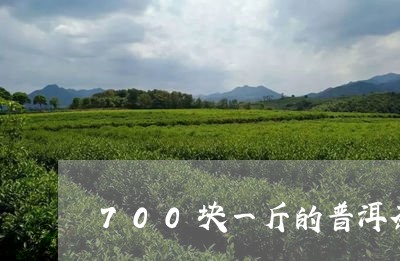 700块一斤的普洱茶/2023092849574