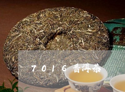 7016普洱茶/2023110573936