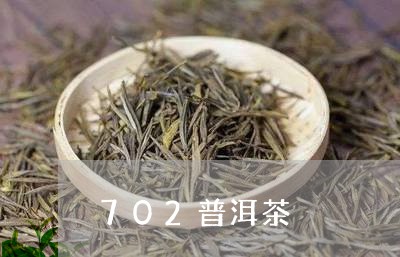 702普洱茶/2023042828243