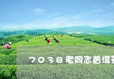 7038老同志普洱茶/2023062725938