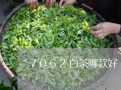 7062白茶哪款好/2023071359380