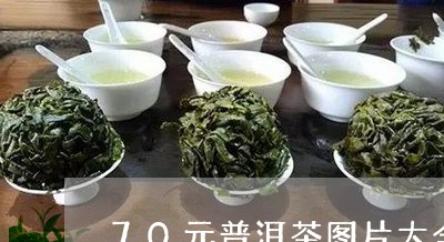 70元普洱茶图片大全集/2023110528389