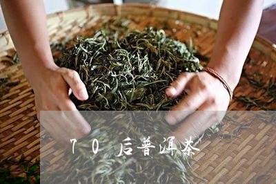 70后普洱茶/2023042687337