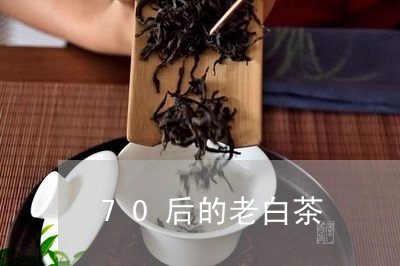 70后的老白茶/2023073136348