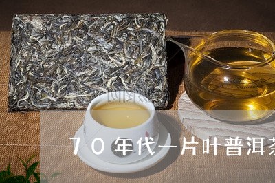 70年代一片叶普洱茶/2023092670594