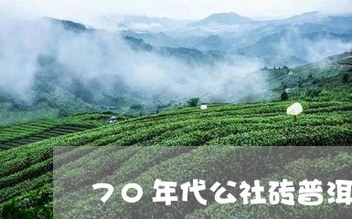 70年代公社砖普洱茶/2023092928281