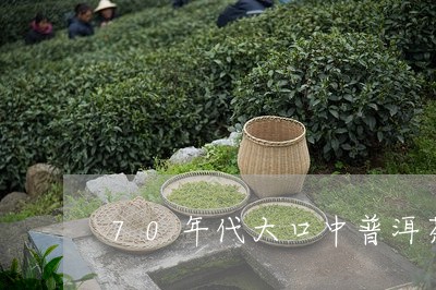 70年代大口中普洱茶/2023082831592