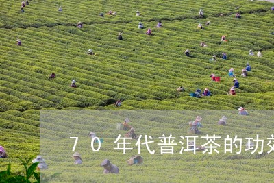 70年代普洱茶的功效/2023072265938