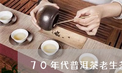 70年代普洱茶老生茶/2023111040473