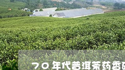 70年代普洱茶药香砖/2023092658471