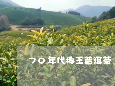 70年代椰王普洱茶/2023120549592