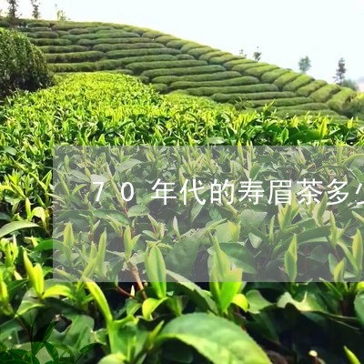 70年代的寿眉茶多少钱/2023092440682