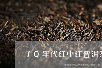 70年代红中红普洱茶/2023092701714