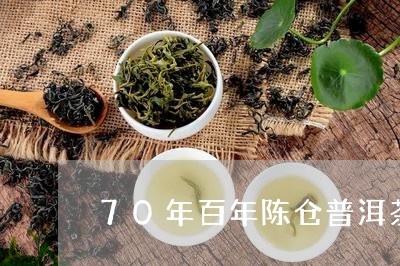 70年百年陈仓普洱茶/2023092784037