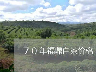 70年福鼎白茶价格/2023120564058