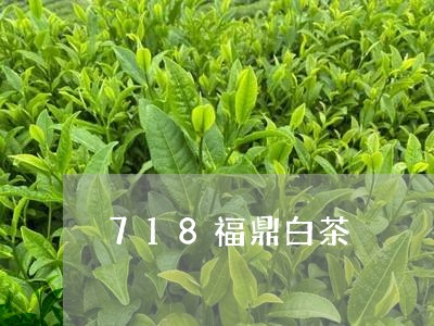 718福鼎白茶/2023062851747