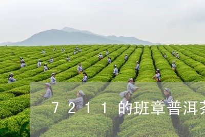 7211的班章普洱茶/2023062514369