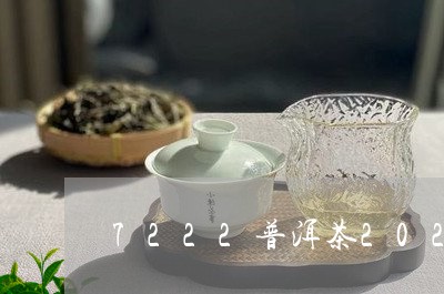 7222普洱茶2020新茶/2023082846158