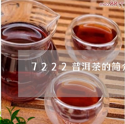 7222普洱茶的简介/2023080355250