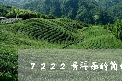 7222普洱茶的简介/2023100889585